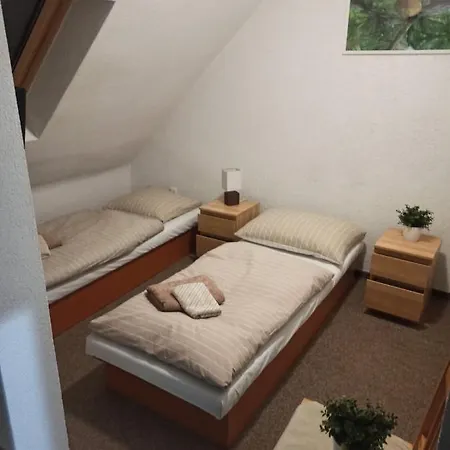 Ranc U Sedmi Kuli Nedašov